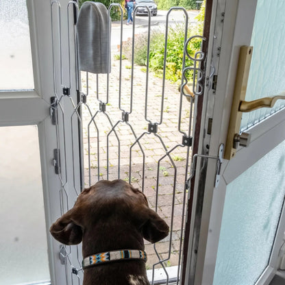 YUMIDOG Barrière Rétractable - vue 12
