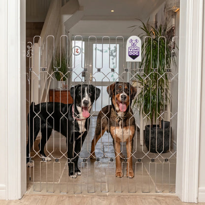 YUMIDOG Barrière Rétractable - vue 1