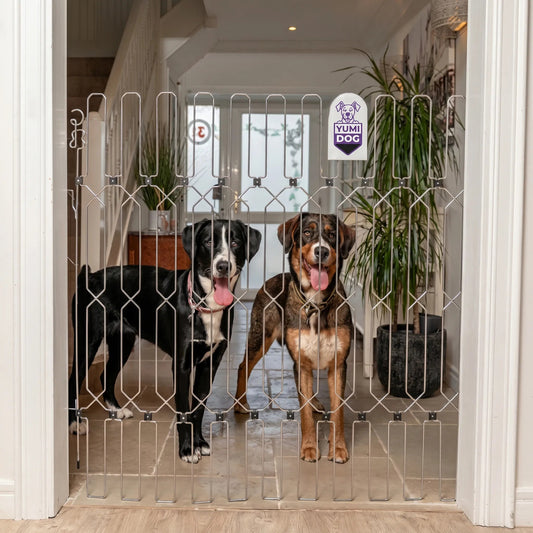 YUMIDOG Barrière Rétractable - vue 1