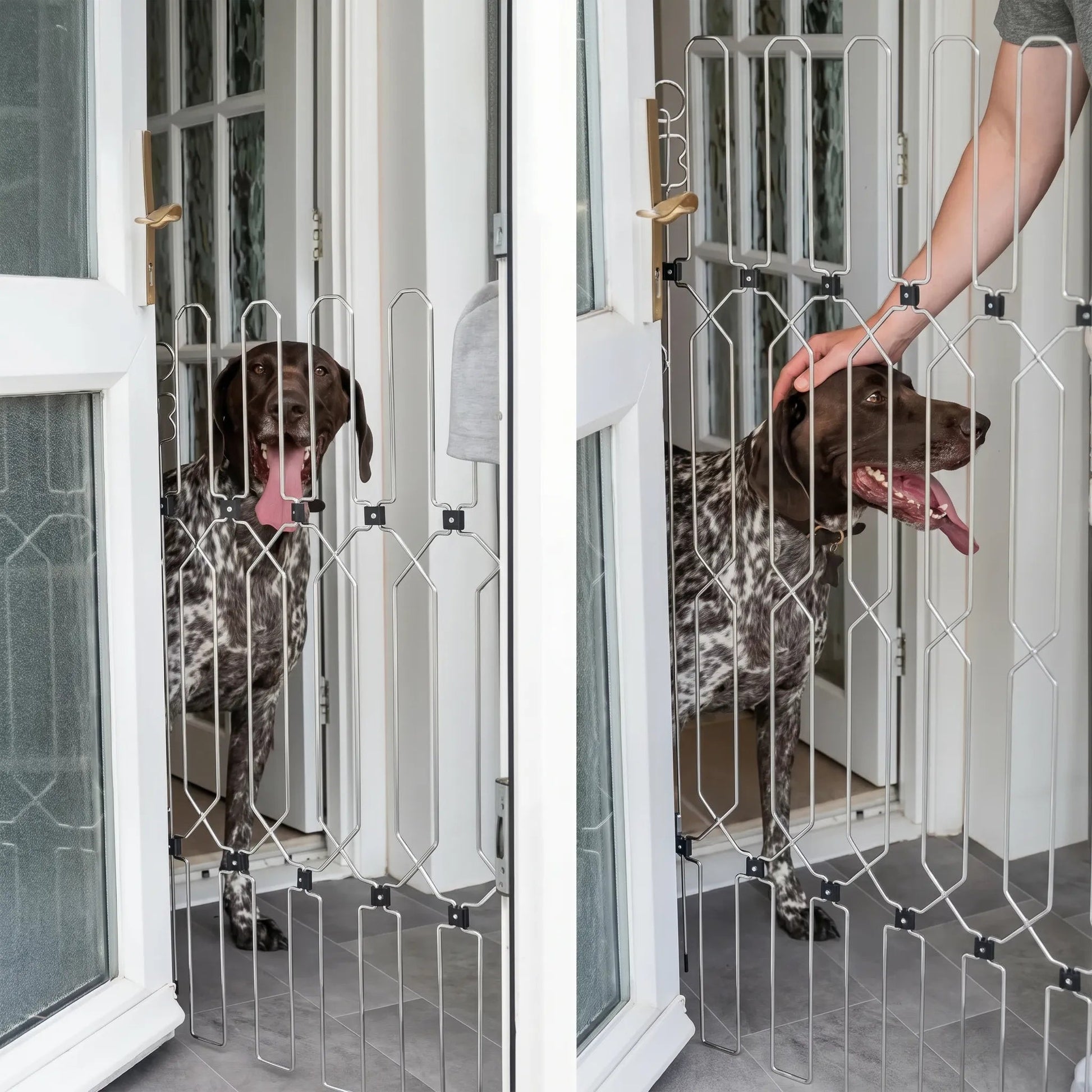YUMIDOG Barrière Rétractable - vue 8