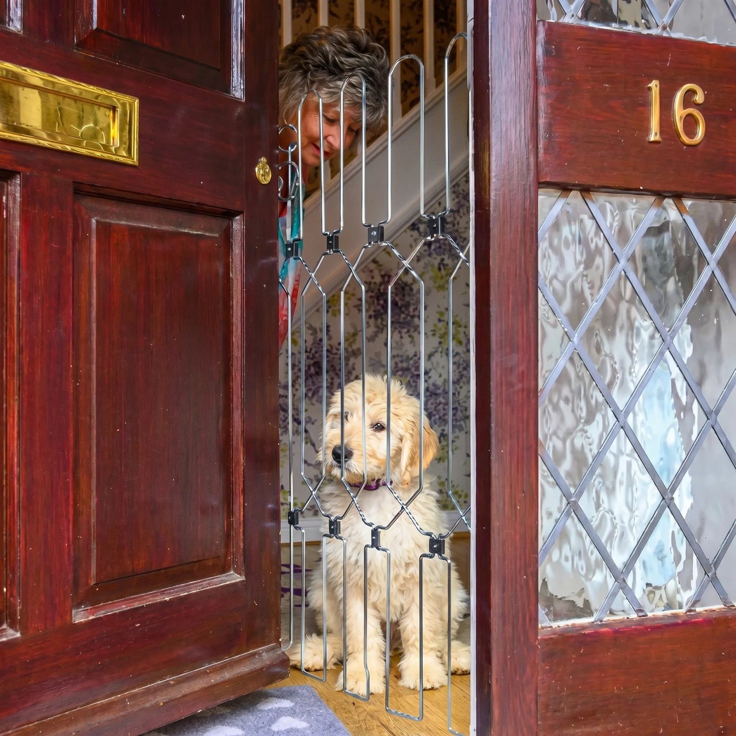 YUMIDOG Barrière Rétractable - vue 9